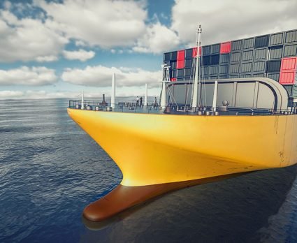 Cargo Logistics Group Inc